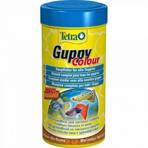 TetraGuppy Colour