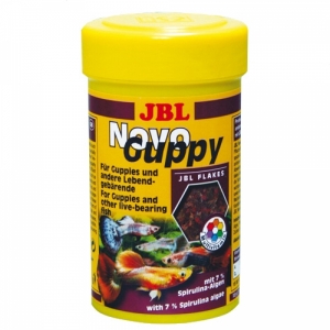 JBL NovoGuppy