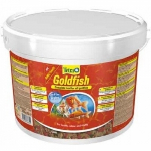 TetraGoldfish