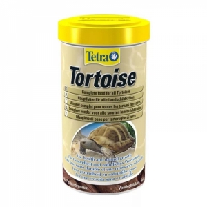 Tetra Tortoise