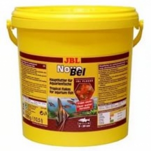 JBL NovoBel