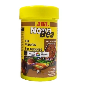 JBL NovoBea