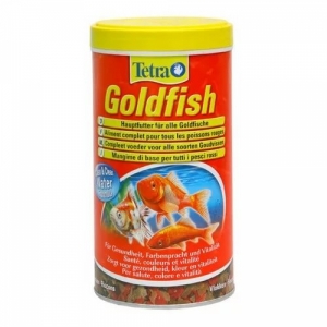 TetraGoldfish