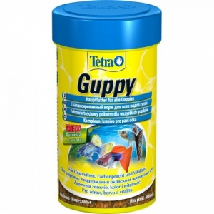 TetraGuppy