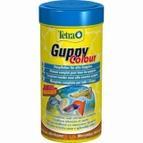 TetraGuppy Colour